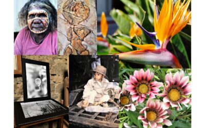 Exposition : Jardin secret de Dany