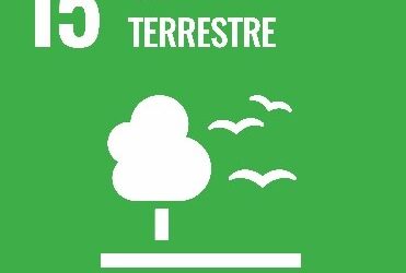 Groupe de travail BiodiverCité 2025