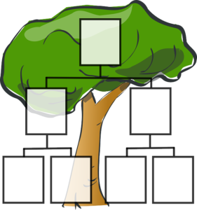 illustration d'un arbre généalogique
