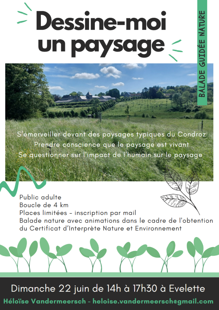 Affiche de la balade du 22 juin organisée par l'Office du tourisme d'Ohey
