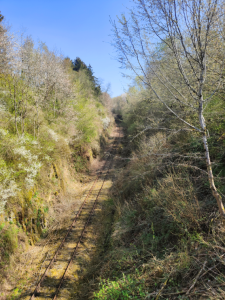 Paysage 