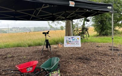 Retour sur le projet « Haie-lève » du Parc naturel