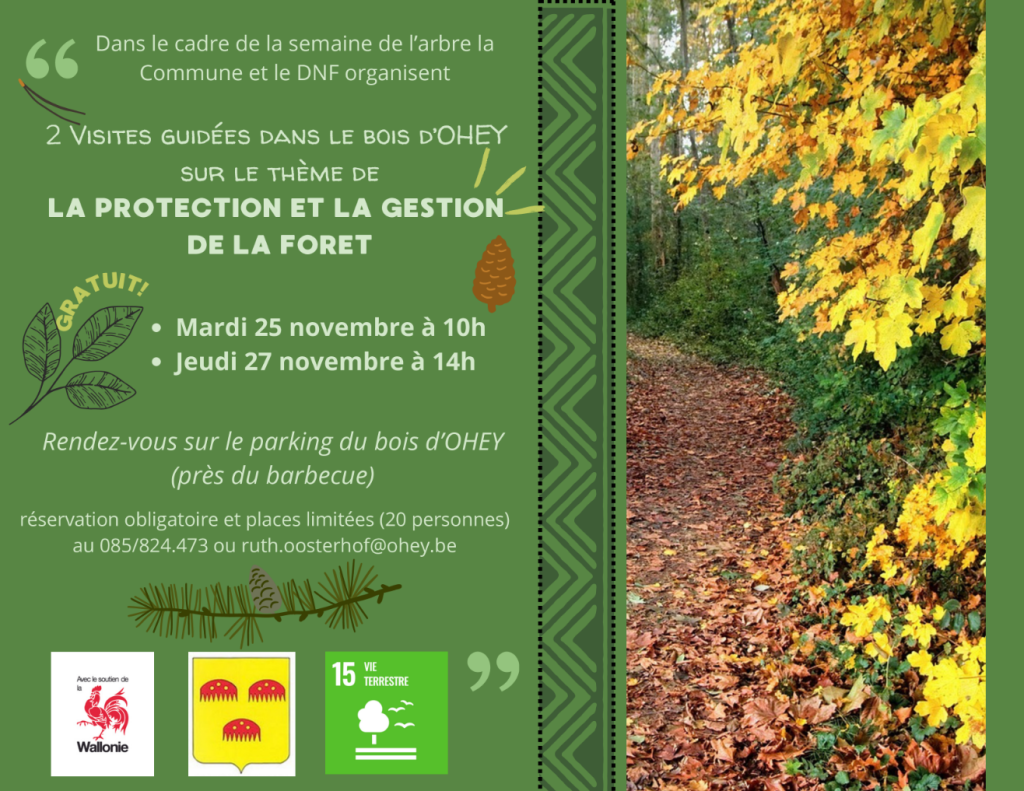 affiche visite guidée