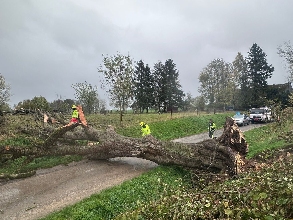Photo de dégâts suite à la tempête à Ohey
