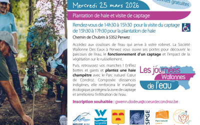 Collaboration projet Haie-lève et JWE 2026