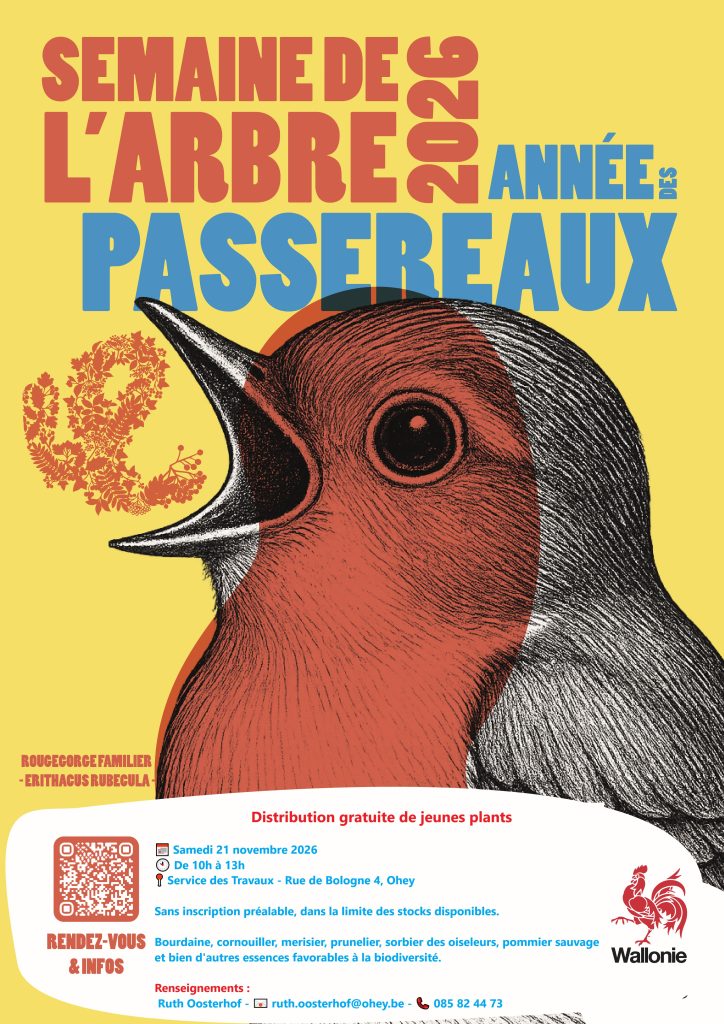 Semaine de l’Arbre2026 : les passereaux à l’honneur