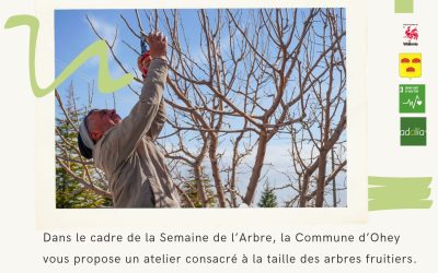 Atelier « Taille d’arbres fruitiers »