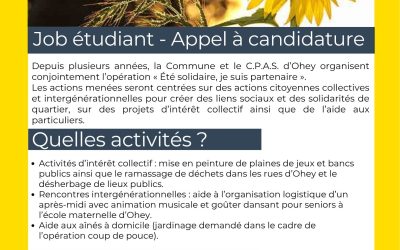 Appel à candidatures Été solidaire 2026 (du 6 au 17 juillet)