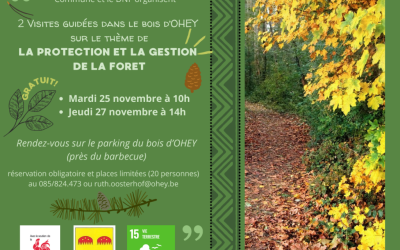 Visites guidées dans les bois