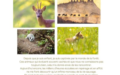 Exposition à l’Office du tourisme : Céline Lefèbvre, photographe & illustratrice (03 au 31/07/2026)