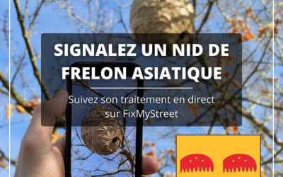 Signaler un nid de frelons asiatiques de manière efficace avec Fixmystreet