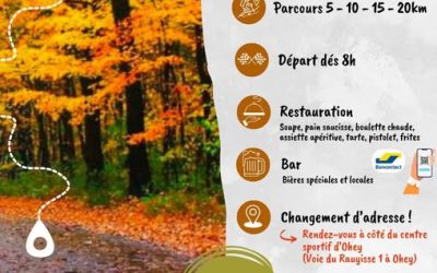 Marche ADEPS à Ohey (02/11/2025)