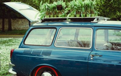 Interdiction de la vente sauvage de muguet à Ohey