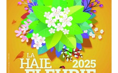 Biodivercité – semaine  de l’arbre 2025