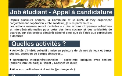 Eté solidaire : le CPAS recherche des étudiants