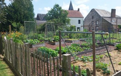 Un projet BiodiverCité animé par la passion de 5 bénévoles qui se trouve au cœur d’Ohey