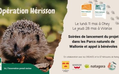 Projet “Hérissons” – Appel aux bénévoles
