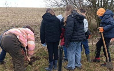 ENSEIGNEMENT : Projet Haie-lève, retour sur la saison 2024-2025