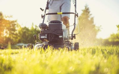 RAPPEL DES BONNES PRATIQUES ESTIVALES : tonte, chien en laisse, feux d’artifice…